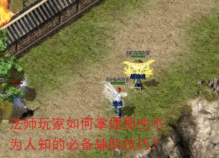 法师玩家如何掌握那些不为人知的必备辅助技巧? 法师玩家如何掌握那些不为人知的必备辅助技巧?