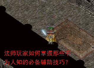 法师玩家如何掌握那些不为人知的必备辅助技巧? 法师玩家如何掌握那些不为人知的必备辅助技巧?