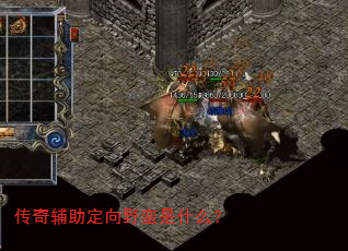 传奇辅助定向野蛮是什么? 传奇辅助定向野蛮是什么?