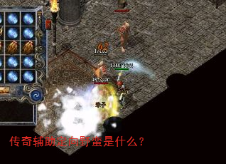 传奇辅助定向野蛮是什么? 传奇辅助定向野蛮是什么?