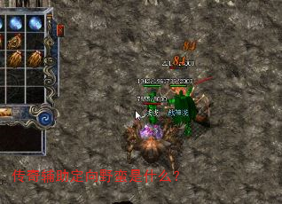 传奇辅助定向野蛮是什么? 传奇辅助定向野蛮是什么?