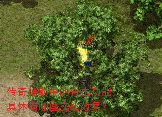 传奇辅助中的合击功能具体有哪些实战效果? 传奇辅助中的合击功能具体有哪些实战效果?