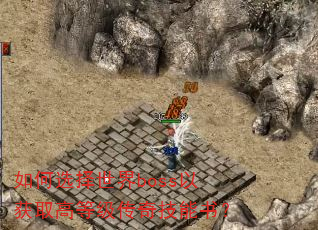 如何选择世界boss以获取高等级传奇技能书? 如何选择世界boss以获取高等级传奇技能书?