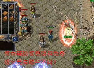 传奇辅助收费版和免费版究竟有哪些不同? 传奇辅助收费版和免费版究竟有哪些不同?