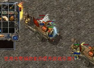 ʹ�ô��渨���ܷ�������Ϸ��Ȥ��