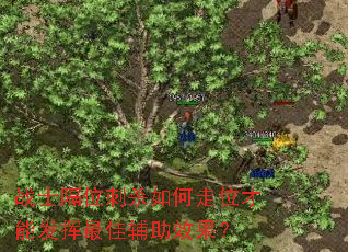 սʿ��λ��ɱ�����λ���ܷ�����Ѹ���Ч����