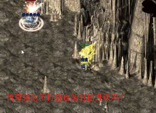 ���渨�������Ҳ������������