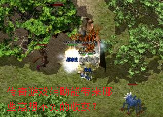 ������Ϸ�����ܴ�����Щ���벻�����ջ�