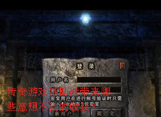 ������Ϸ�����ܴ�����Щ���벻�����ջ�