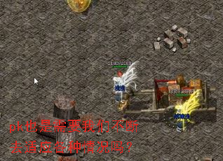 pkҲ����Ҫ���ǲ���ȥ��Ӧ���������