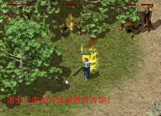 ��ʿ�����ο��������ȼ���