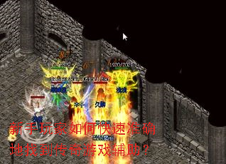 ���������ο���׼ȷ���ҵ�������Ϸ������