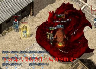 2026�괫����Ϸʲô���������أ�