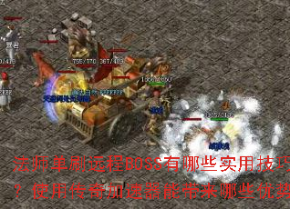 ��ʦ��ˢԶ��BOSS����Щʵ�ü��ɣ�ʹ�ô���������ܴ�����Щ���ƣ�