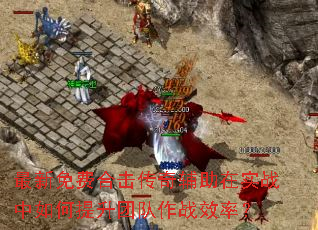 ������Ѻϻ����渨����ʵս����������Ŷ���սЧ�ʣ�