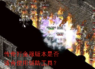 ��������汾�Ƿ��ʺ�ʹ�ø������ߣ�