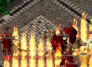 ����������ʲô���͵���ң�