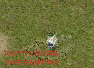 2026�괫����Ϸ������ϢӦ��ȥ������ң�