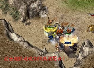 սʿ���������θ�Ч��ϣ�