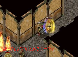 սʿǰ����ο��������ȼ���