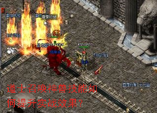 ��ʿ�ٻ����޼����������ʵսЧ����