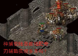 �񲶵�½���ܴ������и���ʵ�ֶ࿪��