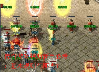 ������Ϸ�������ֱؿ���������������Щ��