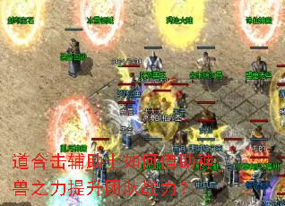 ���ϻ�����ʿ��ν�������֮�������Ŷ�ս����