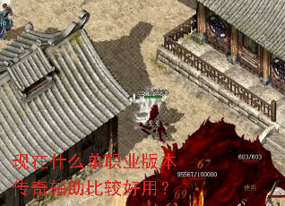 ����ʲô��ְҵ�汾���渨���ȽϺ��ã�