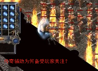 ���渨��Ϊ�α�����ҹ�ע��