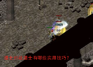 道士对战道士有哪些实用技巧? 道士对战道士有哪些实用技巧?