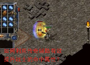 ������ô��渨����Ч����սʿ���������ԣ�