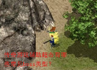 ������Ϸ������������Щ����boss���ͣ�