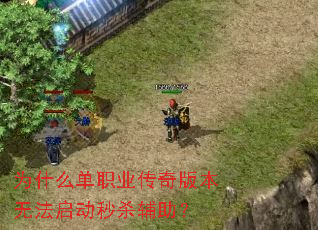 Ϊʲô��ְҵ����汾�޷�������ɱ������