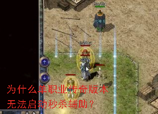 Ϊʲô��ְҵ����汾�޷�������ɱ������