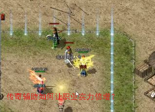 ���渨�������ְҵʵ��������