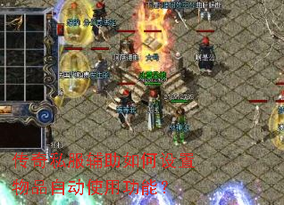 ����˽���������������Ʒ�Զ�ʹ�ù��ܣ�