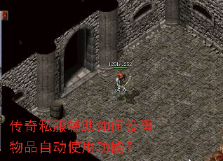 ����˽���������������Ʒ�Զ�ʹ�ù��ܣ�