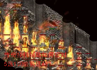 ����һ��������Ӧ��5ѡ1������֤�룿