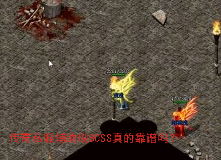 ����˽������ˢBOSS��Ŀ�����