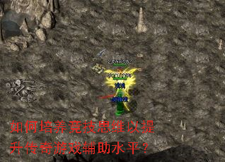 �����������˼ά������������Ϸ����ˮƽ��