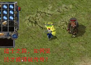 ��ʿ֮·����μ�ֲ������ʹ��棿