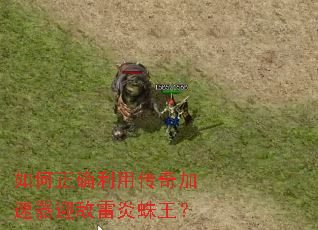 �����ȷ���ô��������ӭ������������