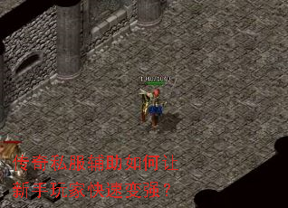 ����˽�����������������ҿ��ٱ�ǿ��