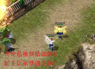 ����˽�����������������ҿ��ٱ�ǿ��