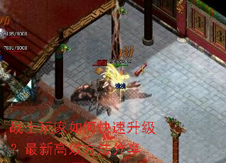 սʿ�����ο������������¸�Ч��������