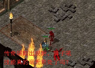 ���渨�����ֺ�ʨ�Ӻ�����ĺ����ô�����