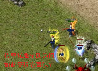 ����˽������Ϊ����������������