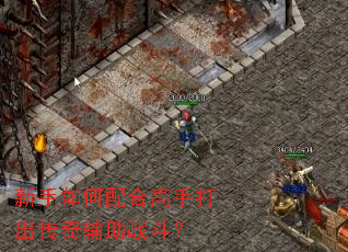 ���������ϸ��ִ�����渨��ս����