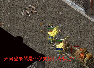 ������¼���Ƿ��֧�ִ��渨����